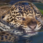 Cool-Pics-at-Radass-007