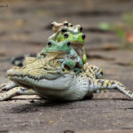 Cool-Pics-at-Radass-016
