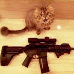 dan-bilzerian-tutuklandi-24