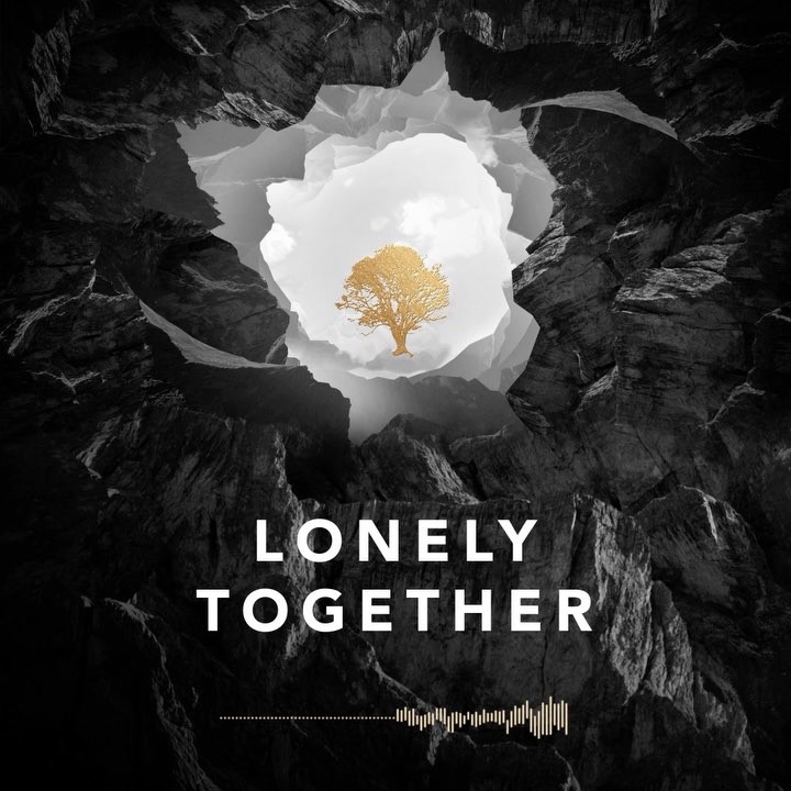 Avicii – Lonely Together (ft.Rita Ora)