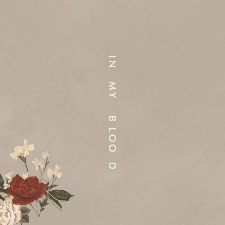 Shawn Mendes – In My Blood