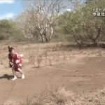 japanese-gameshows-lizard