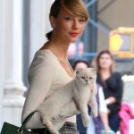 taylor-swift-mini-etek.02