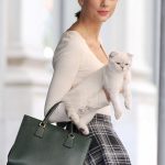 taylor-swift-mini-etek.08
