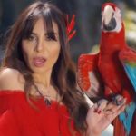 betul-demir1-768×501