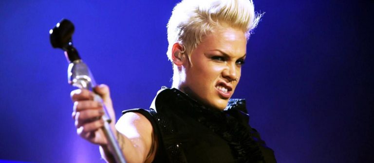 Pink müziğe ara veriyor