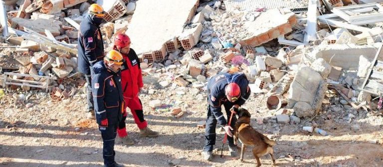 Depremin isimsiz kahramanları; kurtarma köpekleri