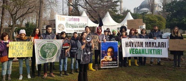 Atlı faytonlar kalktı, eylem sona erdi!