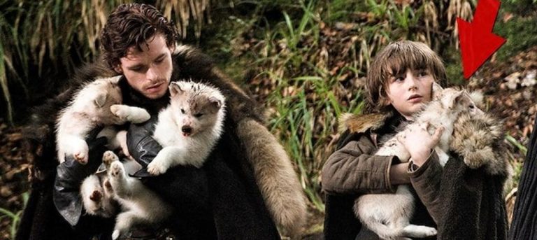 Dizi dünyasının en ünlü köpeği hayatını kaybetti