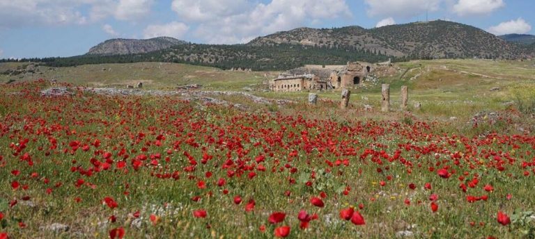 Hierapolis Antik Kenti’nde çiçeklerle görsel şölen