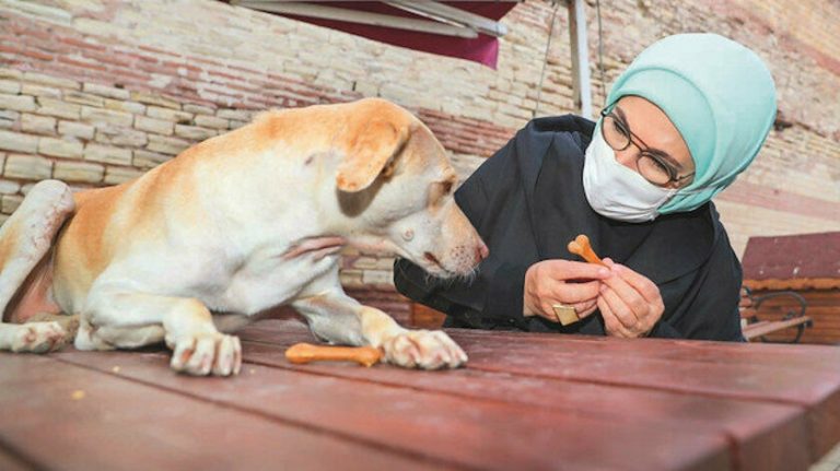 EMİNE ERDOĞAN HAYVAN BARINAĞINI ZİYARET ETTİ