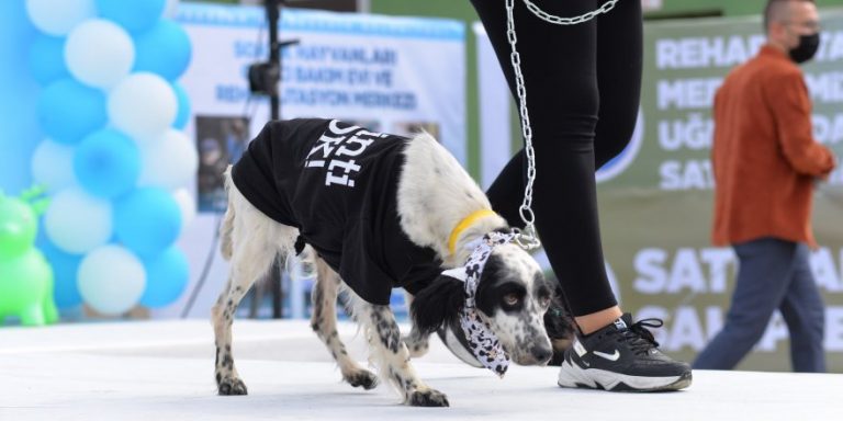 PATİLİ CANLAR HER ZAMAN DOSTUMUZ