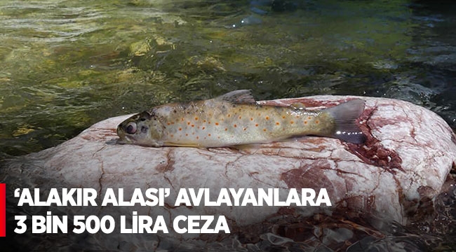 TÜM DÜNYADA SADECE ANTALYA’DA YAŞAYAN BALIĞI AVLADILAR