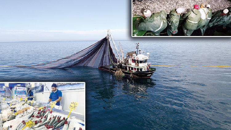 DENİZLERDE KAÇAK AVLANMAYA CEZA BOLLUĞU