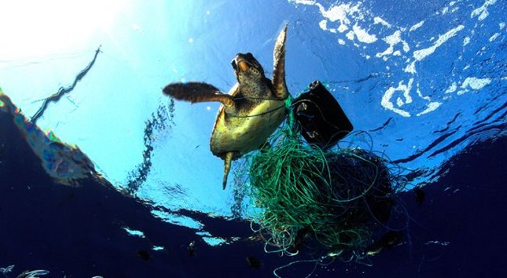 Oceana raporuna göre, siparişlerde boğuluyoruz