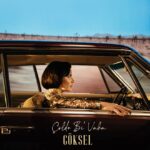 goksel1