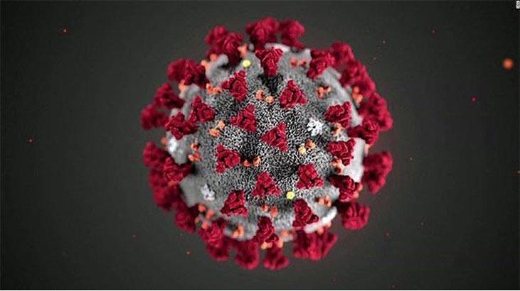 Covid bağışıklığı kazandıran besin