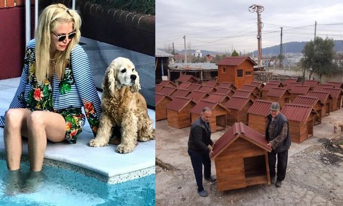 Derin Mermerci, Ardahan’a tır dolusu mama gönderdi