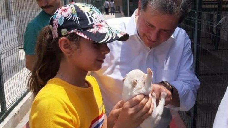 Hayvanseverler Beştepe’yi beklemekten yoruldu