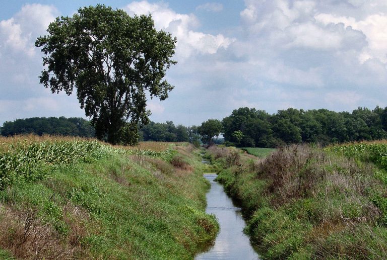 Kuraklık su kaynaklarının önemini gösterdi