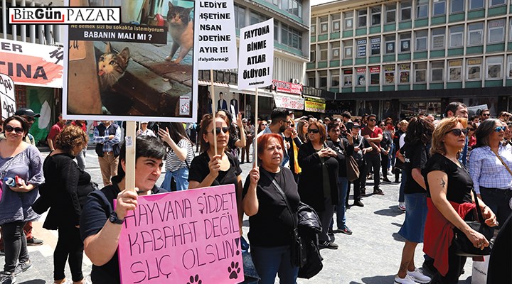 Hayvan Hakları Yasası’nda geri sayım başladı