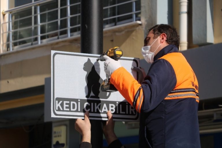 Dikkat kedi çıkabilir!