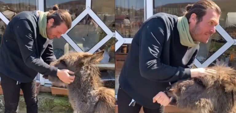 Sıpa Arzu’nun Kıvanç Tatlıtuğ hayranlığı