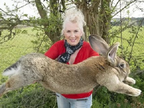 DERİUS EVİNDEN ÇALINDI