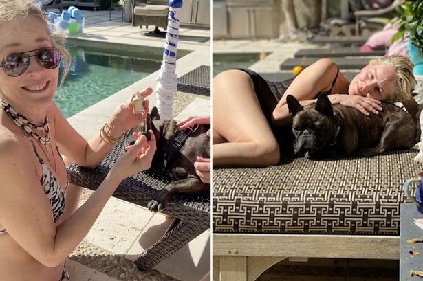 SHARON STONE KÖPEĞİ İLE HAVUZ KEYFİNDE