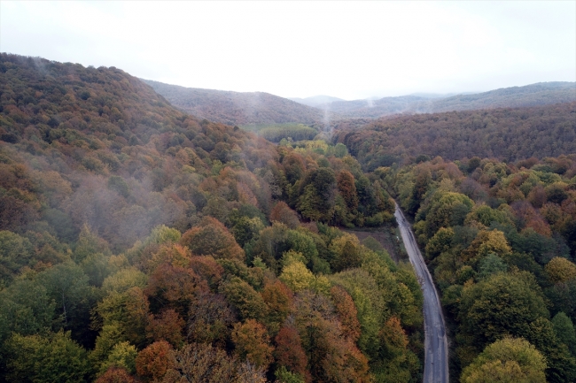 ISTRANCALAR KORUMA ALANI İLAN EDİLMELİ