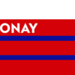 INFLUENCERŞARKICI0