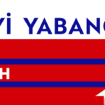 YABANCIŞARKICI00