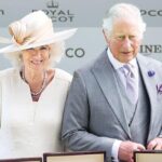 60cbb2680f254413ecec6df0