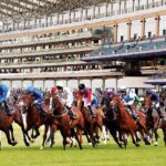 60cbb2680f254413ecec6df2