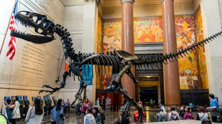 NEW YORK’TAKİ MÜZELERE AŞI ENGELİ