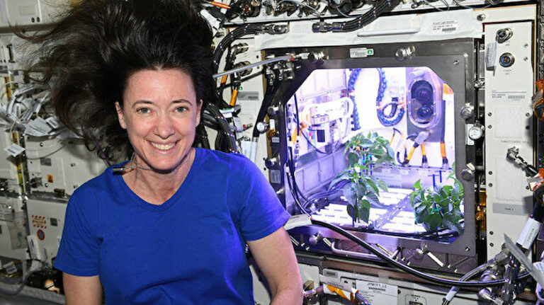 ŞİLİ BİBERİ ARTIK UZAYDA ÇİÇEK AÇIYOR