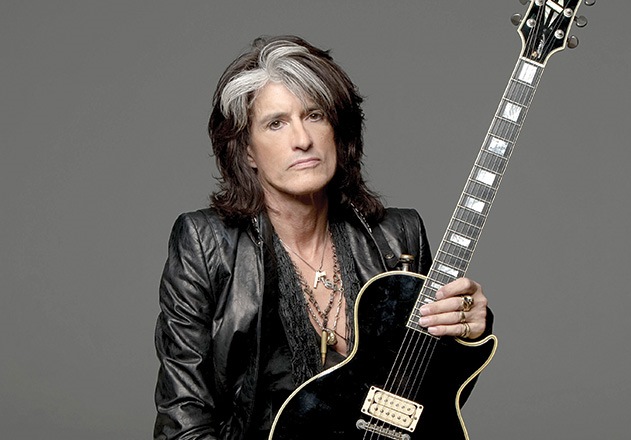 Joe Perry malikanesini satıyor