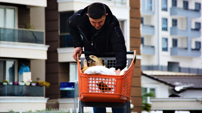Ömer Ayhan, felçli köpeğini market arabasıyla sokak sokak gezdiriyor