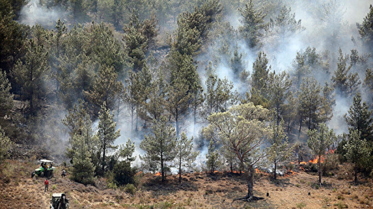 WWF – Türkiye uyardı! Ormanları yanmadan koruyalım