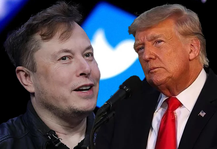 Elon Musk, Trump’ın Yasağını Kaldıracak