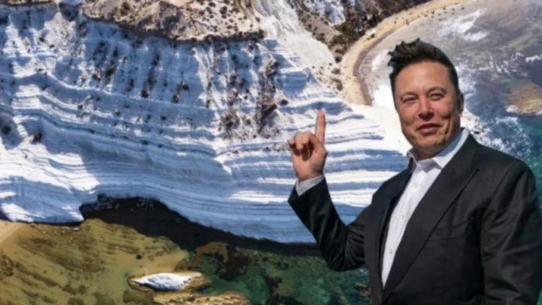 Elon Musk’a çağrı: Türk Merdivenleri’ni satın al