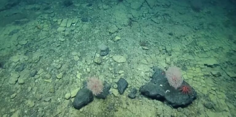 Bilim insanları şaşkın: Atlantis’in yolu ortaya çıktı