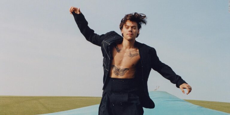 Üniversitede Harry Styles’ı konu alan bir ders açılıyor