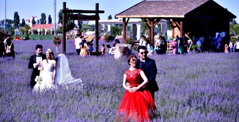 Lavanta bahçesi fotoğraf stüdyosu oldu