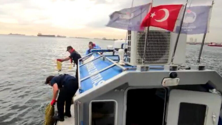 Kaçak midye ve deniz salyangoz avcıları yakalandı