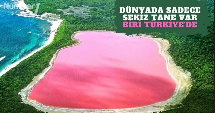 Pembe göl nerede? Bu rengin sırrı ne?