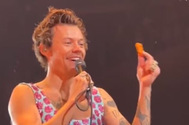 Harry Styles’a konser sırasında tavuk kanadı fırlatıldı