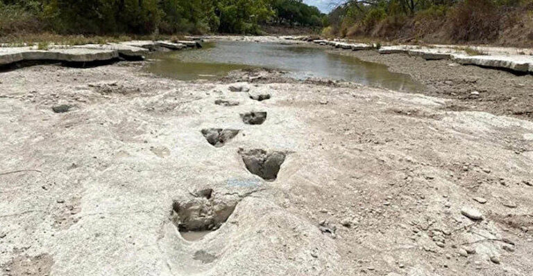 Sular çekilince 113 milyon yıllık izler ortaya çıktı