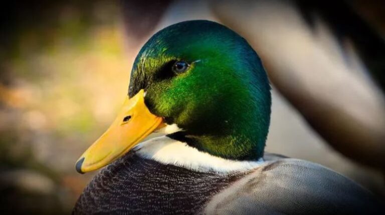 Neden hayatım sosyal medya hesabımdaki gibi değil?