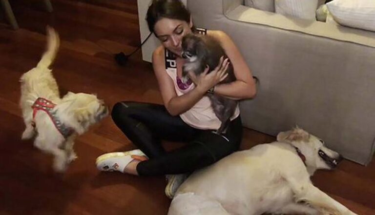 Ezgi Mola’nın acı günü ‘köpeği hayatını kaybetti’: ‘Ben ne yapacağım şimdi Kuki…’